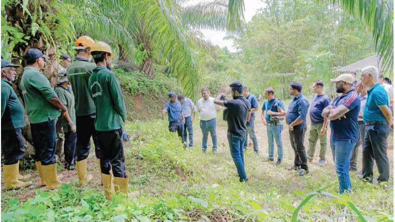 ඔයිල් පාම් මිථ්‍යාව සහ සත්‍ය දකින්න POIA වෙතින් ක්ෂේත්‍ර චාරිකාවක්